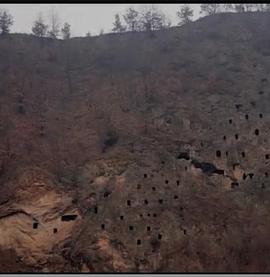 狩猎场·寄死窑(大结局)