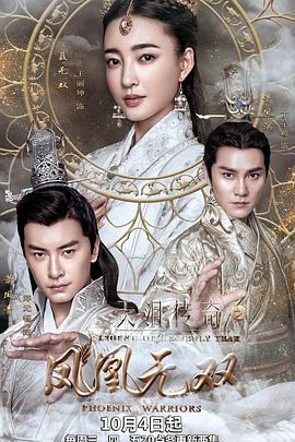 天泪传奇之凤凰无双第27集