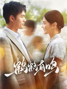 鹤鹤有鸣第41-60集