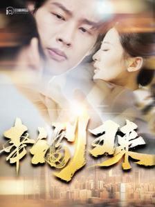 幸福归来第21-40集