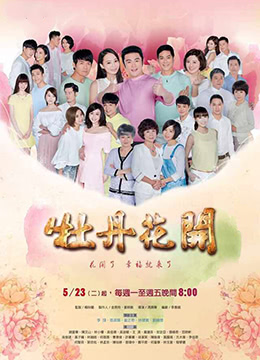 牡丹花开第47集